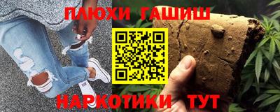 индика Кингисепп