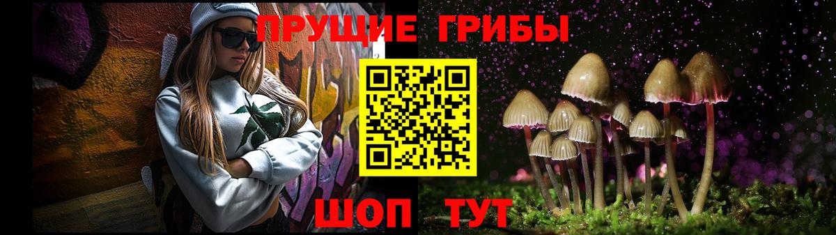 Уссурийск  Галлюциногенные грибы GOLDEN TEACHER  Вход с VPN  где купить   Псилоцибиновые грибы Cubensis 